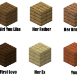 minecraft memes Minecraft, Oak, Jungle, Dark, Birch, Warped text: Her First Love Her Ex You 