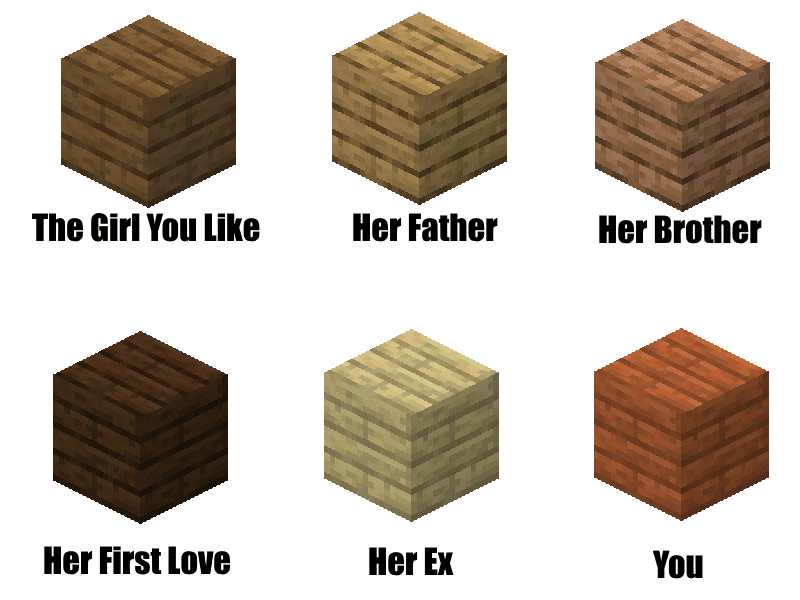 Minecraft, Oak, Jungle, Dark, Birch, Warped minecraft memes Minecraft, Oak, Jungle, Dark, Birch, Warped text: Her First Love Her Ex You 