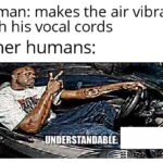 Dank Memes Dank,  text: human: makes the air vibrate with his vocal cords other humans: NDERSTANDABIE.  Dank, 
