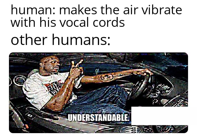 Dank,  Dank Memes Dank,  text: human: makes the air vibrate with his vocal cords other humans: NDERSTANDABIE. 