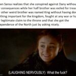 Game of thrones memes Game of thrones, Robb text: When Sansa realizes that she conspired against Dany without any consequences while her half brother was exiled for treason. Her other weird brother was named King without having done anything important for the kingdom, fought at any war or have any legitimate claim to the throne and that she got the independence of the North just by asking nicely. (LAUGHING NERVOUSLY) What the imgfiipcom  Game of thrones, Robb
