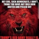 boomer memes Political, Trump, Red Army, America, Army, United text: EVIL, SICK DEMOCRATS, I DON