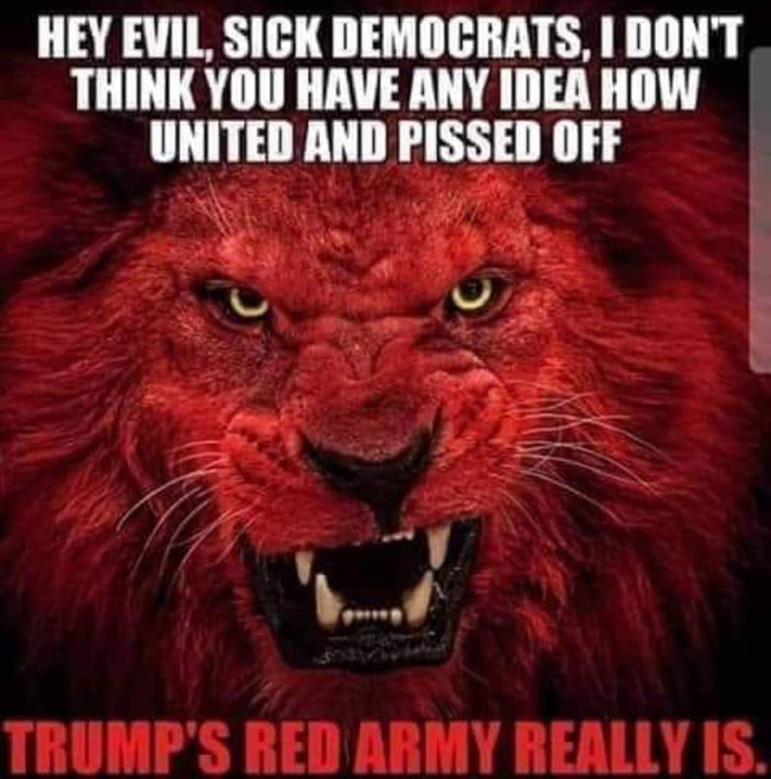 Political, Trump, Red Army, America, Army, United boomer memes Political, Trump, Red Army, America, Army, United text: EVIL, SICK DEMOCRATS, I DON'T THINK YOU HAVE UNITED AND PISSED OFF IS. 