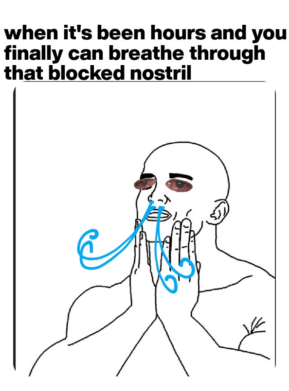 Wholesome memes, Eternal Wholesome Memes Wholesome memes, Eternal text: when it's been hours and you finally can breathe through that blocked nostril 