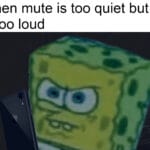 other memes Funny, Phone, Samsung, Mac, Android, TV text: When mute is too quiet but 1 is too loud  Funny, Phone, Samsung, Mac, Android, TV