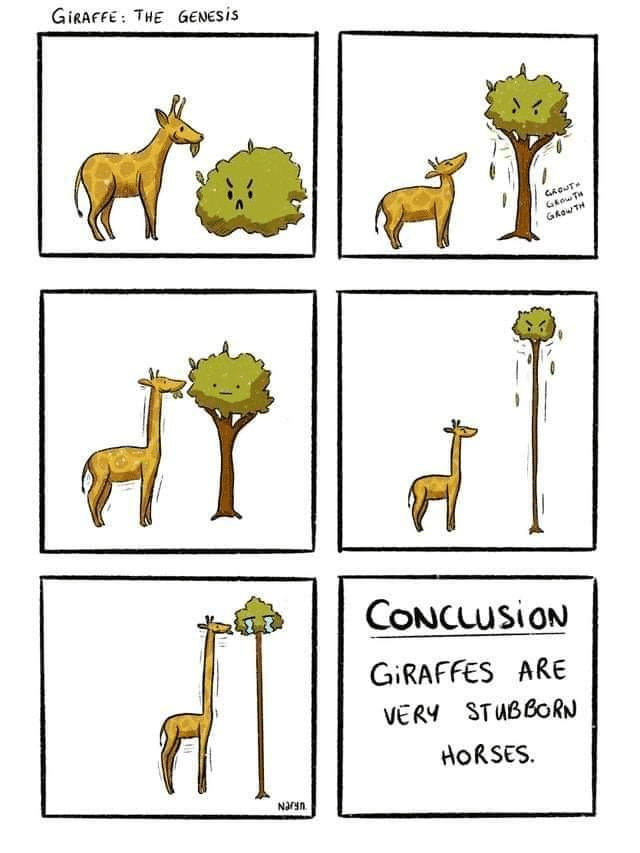 Wholesome memes, Giraffes Wholesome Memes Wholesome memes, Giraffes text: Coucwsioto GiRAFÆS ARE STIAgeoRB) AoRSES. 