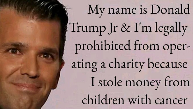 Political, Trump, Trumps, Eric Trump, Eric, Trump Foundation Political Memes Political, Trump, Trumps, Eric Trump, Eric, Trump Foundation text: My name is Donald Trump Jr & I'm legally prohibited from oper- ating a charity because I stole money from children with cancer 