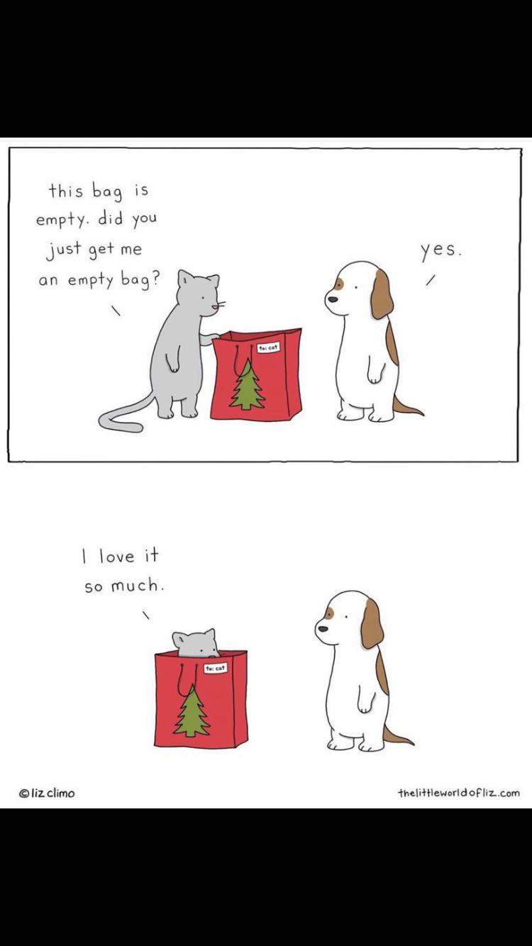 Wholesome memes, Liz Wholesome Memes Wholesome memes, Liz text: åhis bag is ernpfy. did you Just me an emp+y bag? I love  so much. O liz climo IJ l/ -theliftleworld OF lit.com 