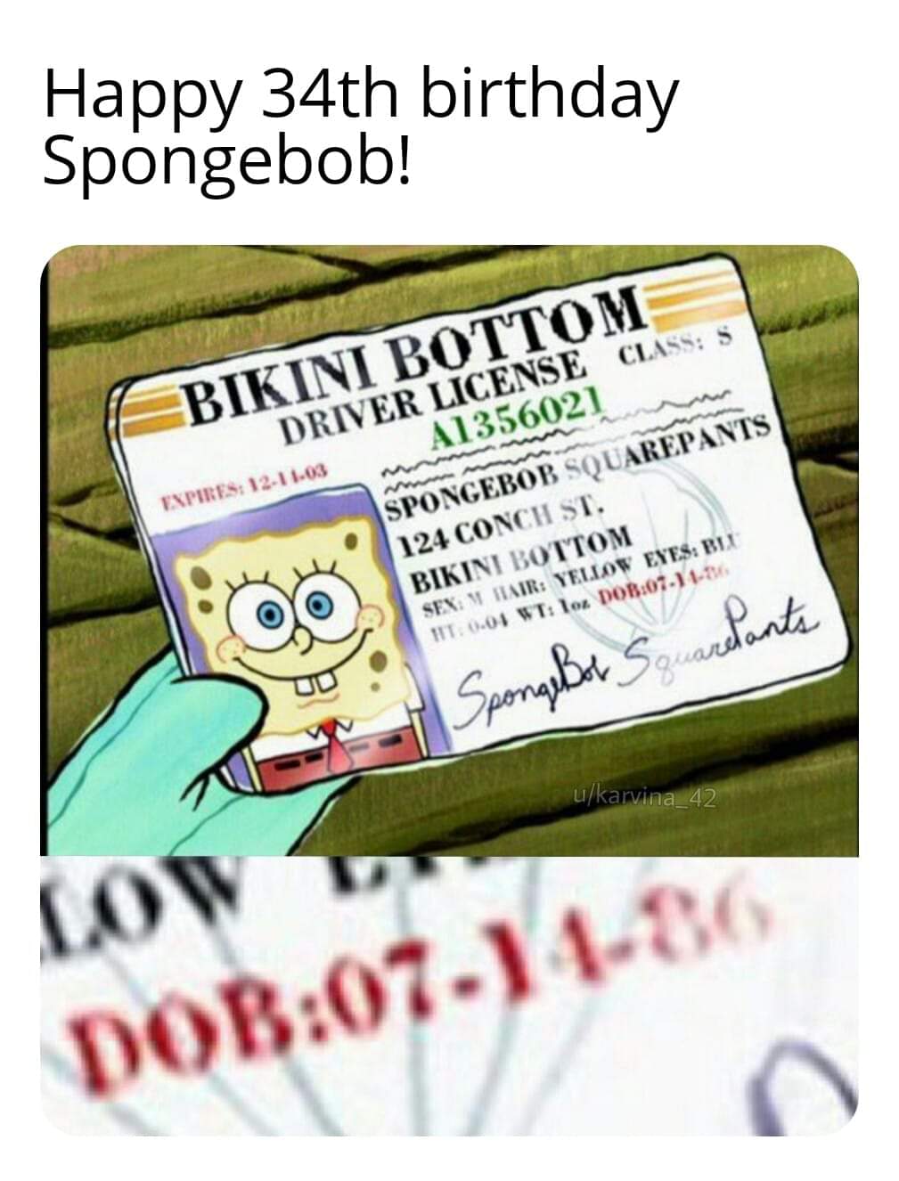 Spongebob, Happy Spongebob Memes Spongebob, Happy text: birthday —BIKINI BOTTOM— DRIVER LICENSE s A1336021 SPONGEBOB SQUAREPANTS 124 31'. @ @ BIKINI l',ovroM SEN. 