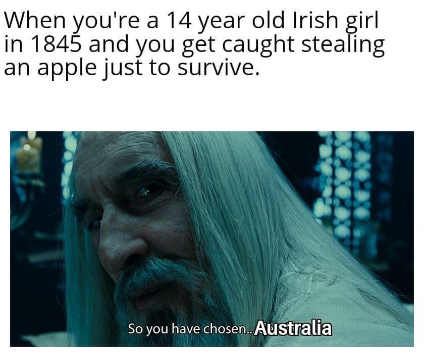 History, Australia, Irish, Ireland, British, Sorry History Memes History, Australia, Irish, Ireland, British, Sorry text: When you're a 14 year old Irish girl in 1 845 and you get caught stealing an apple just to survive. So you have chosen.. Australia 