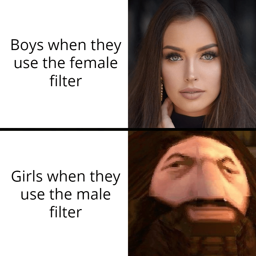 Dank, Hagrid, PS1, God, Visit, Snapchat Dank Memes Dank, Hagrid, PS1, God, Visit, Snapchat text: Boys when they use the fi Iter Girls when they use the male filter 