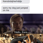 Star Wars Memes Prequel-memes, ONK, Gor text: Hello there General Kenobidsjhierhddjs sorry my dog just jumped on me Hello, there. General Kenobghierhddjs  Prequel-memes, ONK, Gor