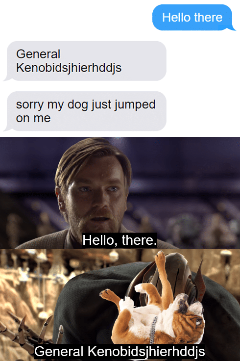 Prequel-memes, ONK, Gor Star Wars Memes Prequel-memes, ONK, Gor text: Hello there General Kenobidsjhierhddjs sorry my dog just jumped on me Hello, there. General Kenobghierhddjs 