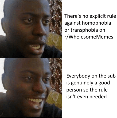 Wholesome memes, LGBTQ Wholesome Memes Wholesome memes, LGBTQ text: There's no explicit rule against homophobia or transphobia on r/WholesomeMemes Everybody on the sub is genuinely a good person so the rule isn't even needed 