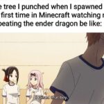 other memes Funny, Minecraft, Ender Dragon, Sama, Nether, Chika text: The tree I punched when I spawned for the first time in Minecraft watching me beating the ender dragon be like: l@åised that boy.  Funny, Minecraft, Ender Dragon, Sama, Nether, Chika