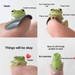 Wholesome Memes Wholesome memes, Froggy text: Henlo Cuz I heard you were sad I came to visit you Frog is smol Frog is here But heart is big Things will be okay *smile* Now I