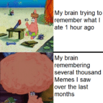 Spongebob Memes Spongebob,  text: My brain trying to remember what I ate 1 hour ago My brain remembering several thousand Memes I saw over the last months  Spongebob, 