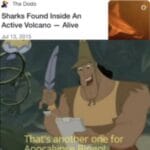 Dank Memes Dank, Lavagirl, July, Thanks, Subnautica, Sharkboy text: The OOdO Sharks Found Inside An Active Volcano Alive another for  Dank, Lavagirl, July, Thanks, Subnautica, Sharkboy
