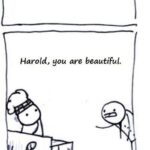 Wholesome Memes Wholesome memes, Harold text: Waiter, the food was delicious, could you compliment the Cook for me please? Harold, you are beautiful.  Wholesome memes, Harold