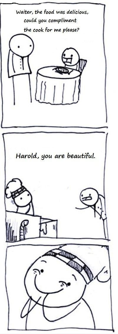 Wholesome memes, Harold Wholesome Memes Wholesome memes, Harold text: Waiter, the food was delicious, could you compliment the Cook for me please? Harold, you are beautiful. 