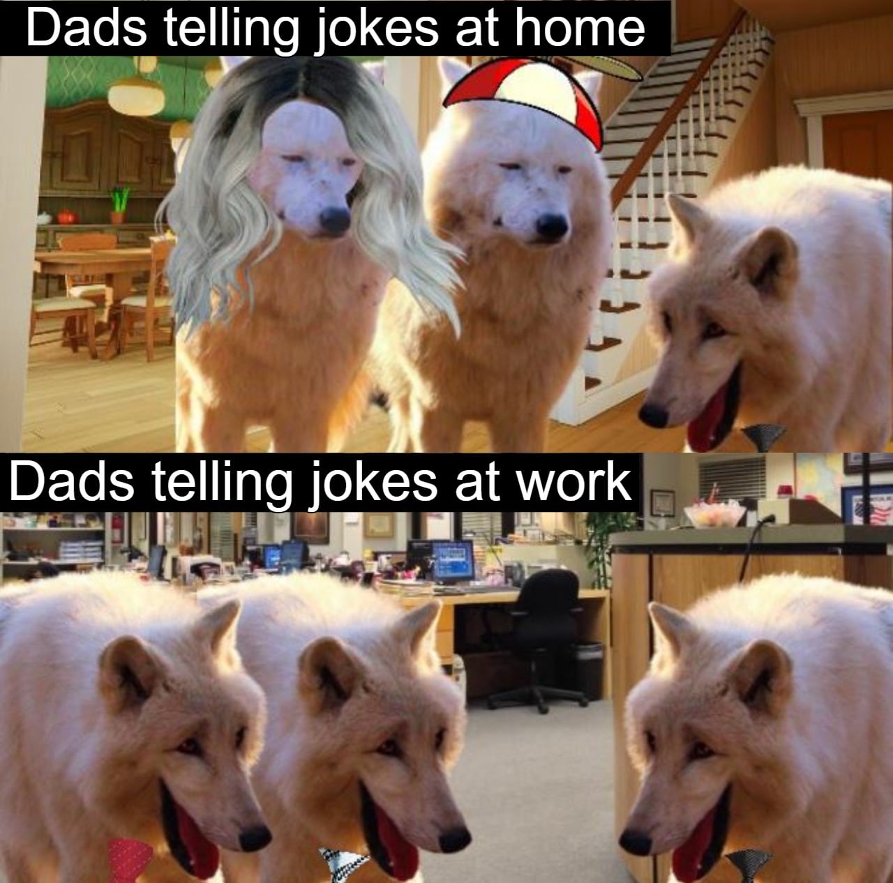 Funny, Dunder Mifflin, Dad, The Office, Club Penguin, Peter other memes Funny, Dunder Mifflin, Dad, The Office, Club Penguin, Peter text: Dads telling jokes at home Dads telling jokes at work 