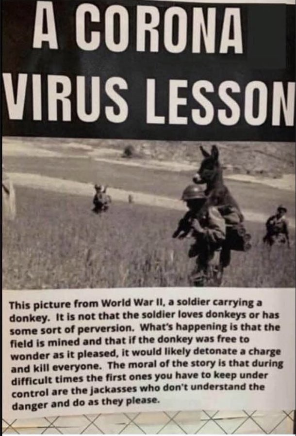 Political, Snopes, PA9, NYC, Instead Political Memes Political, Snopes, PA9, NYC, Instead text: VIRUS LESSON This picture from World War ll. a soldier carrying a donkey. It is not that the soldier loves donkeys or has some sort of perversion. What•s happening is that the field is mined and that if the donkey was free to wonder as it pleased. it would likely detonate a charge and kill everyone. The moral of the story is that during difficult times the first ones you have to keep under control are the jackasses who don•t understand the danger and do as they please. 