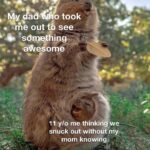Wholesome Memes Wholesome memes, LL HAIL QUOKKAS text:  Wholesome memes, LL HAIL QUOKKAS