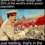 Political Memes Political, Stalin, USSR, Gulags, Americans, United_States text: Under Stalin, repression was so severe that Soviet Gulags held 22% of the world