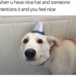 Wholesome Memes Wholesome memes,  text: when u have nice hat and someone mentions it and you feel nice  Wholesome memes, 