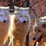 Dank Memes Dank, Tvs0, Jesus text: My Parents telling me I