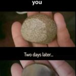Wholesome Memes Wholesome memes,  text: My therapist recommended that I rub this stone every time I miss you Two days later...  Wholesome memes, 