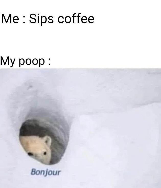 Dank, Ok other memes Dank, Ok text: Me : Sips coffee My poop . 