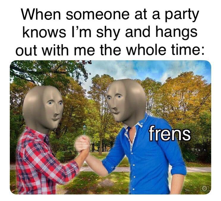 Wholesome memes,  Wholesome Memes Wholesome memes,  text: When someone at a party knows I'm shy and hangs out with me the whole time: frens 