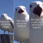 Wholesome Memes Wholesome memes,  text: A girl invite you to her house She takesv- you to her bedroom She gets oui a new Lego