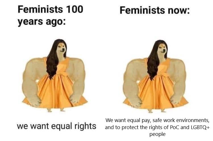 Women, Stole feminine memes Women, Stole text: Feminists 100 we want equal rights Feminists now: We want equal pay, safe work environments, and to protect the rights of POC and LGBTQ+ people 
