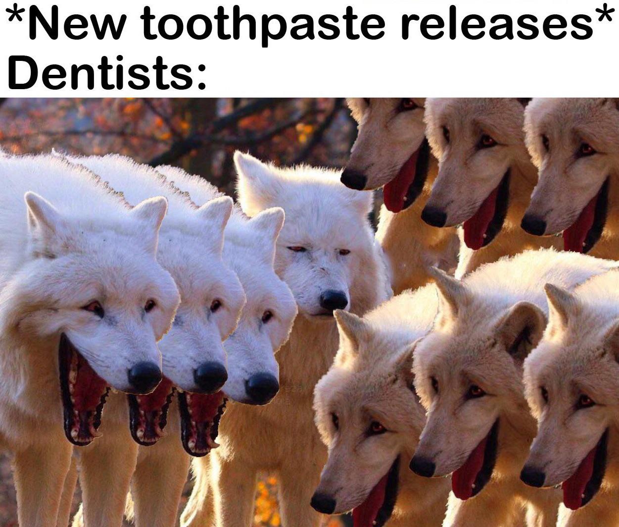 Dank, WgXcQ, VvVC, Qw4, INVEST Dank Memes Dank, WgXcQ, VvVC, Qw4, INVEST text: New toothpaste releases* Dentists: 