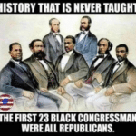boomer memes Political, Republicans, Republican, Reconstruction text: HISTORY THAT IS NEVER TAUGHT THE FIRST 23 BLACK CONGRESSMAN WERE REPUBLICANS.  Political, Republicans, Republican, Reconstruction