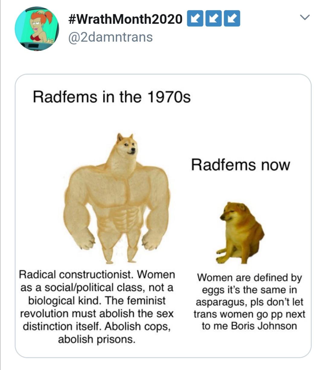 Women, TERFs, TERF, GC, TERFS, LGB Alliance feminine memes Women, TERFs, TERF, GC, TERFS, LGB Alliance text: nan #WrathMonth2020 @2damntrans Radfems in the 1970s Radical constructionist. Women as a social/political class, not a biological kind. The feminist revolution must abolish the sex distinction itself. Abolish cops, abolish prisons. Radfems now Women are defined by eggs it's the same in asparagus, pls don't let trans women go pp next to me Boris Johnson 