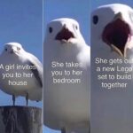 Wholesome Memes Wholesome memes, Lego text: A girl invite you to her house She takes< you to her bedroom She gets 0th a new Lego