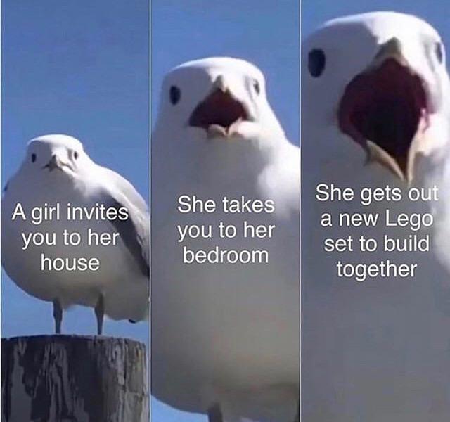 Wholesome memes, Lego Wholesome Memes Wholesome memes, Lego text: A girl invite you to her house She takes< you to her bedroom She gets 0th a new Lego' set to build together 