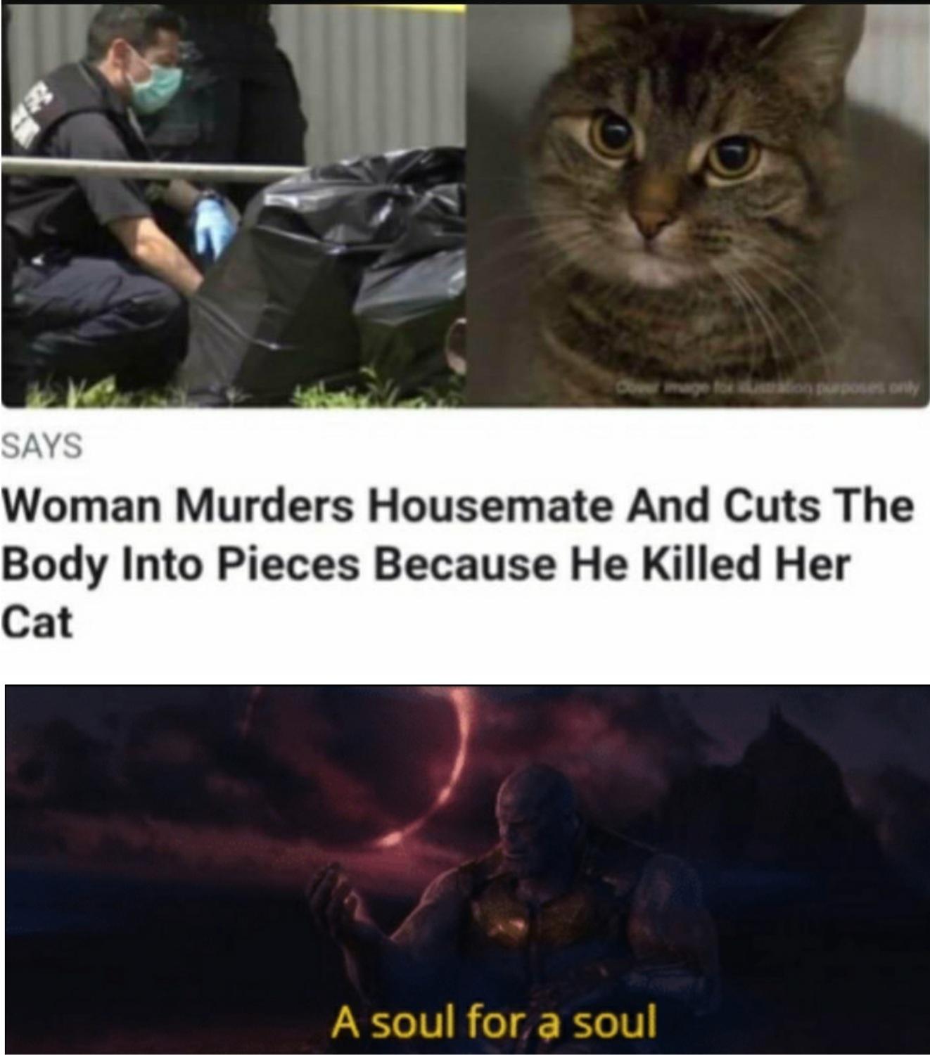 Thanos, Rip In Peace Avengers Memes Thanos, Rip In Peace text: SAYS Woman Murders Housemate And Cuts The Body Into Pieces Because He Killed Her Cat A soul fora soul 