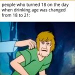 History Memes History, USA, English, UK, Laughs, Germany text: people who turned 18 on the day when drinking age was changed from 18 to 21:  History, USA, English, UK, Laughs, Germany