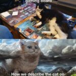 other memes Funny, Magic, MTG, EDH, Oh-Lawd, PC text: o we see the cat on the gaming boar How we describe he cat ope the gaming board  Funny, Magic, MTG, EDH, Oh-Lawd, PC
