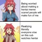 Anime Memes Anime,  text: Being worried about making a hentai meme scared people will make fun of me Realizing literally everyone else on this sub watches hentai  Anime, 