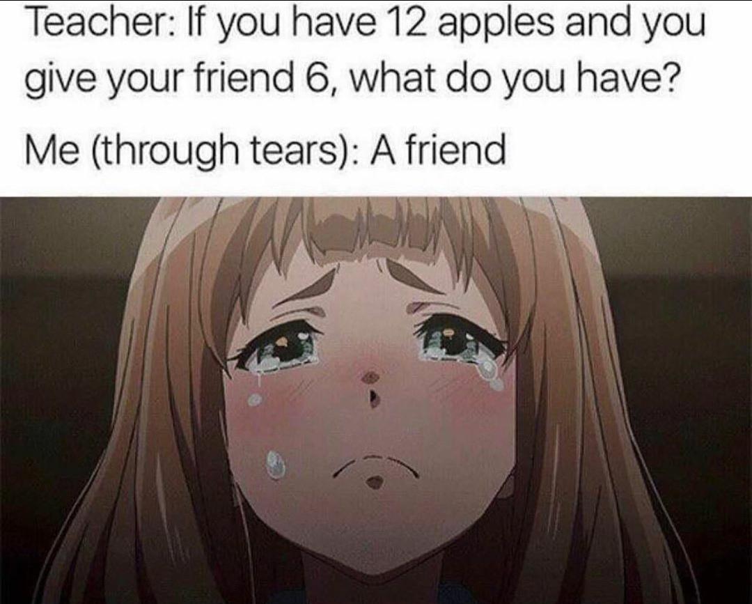 Depression, Unexpected depression memes Depression, Unexpected text: Teacher: If you have 12 apples and you give your friend 6, what do you have? Me (through tears): A friend 