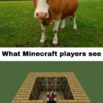 minecraft memes Minecraft, Minecraft, EacefUl text: What normal people see: What Minecraft players see  Minecraft, Minecraft, EacefUl