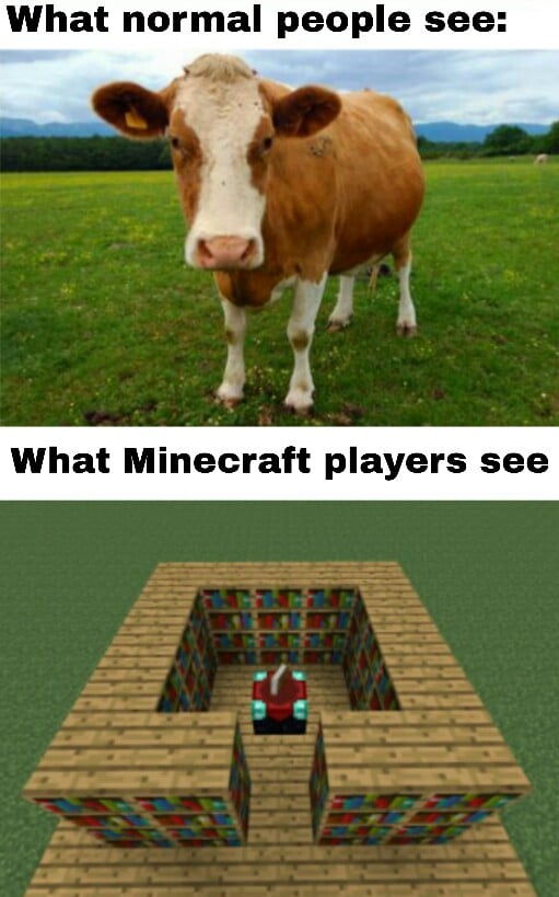 Minecraft, Minecraft, EacefUl minecraft memes Minecraft, Minecraft, EacefUl text: What normal people see: What Minecraft players see 
