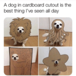 Wholesome Memes Wholesome memes, Saitama text: A dog in cardboard cutout is the best thing I