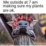 Wholesome Memes Wholesome memes, Arizona text: Me outside at 7 am making sure my plants are ok.  Wholesome memes, Arizona