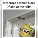 Spongebob Memes Spongebob,  text: Me: drops a whole block Of shit at the toilet Y ass  Spongebob, 